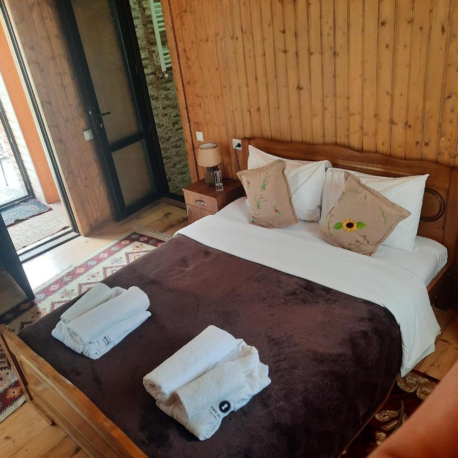 Bana Hotel Kazbegi Luaran gambar