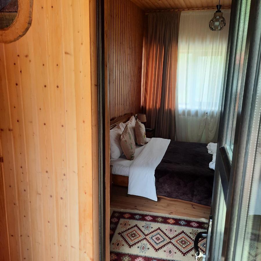 Bana Hotel Kazbegi Luaran gambar