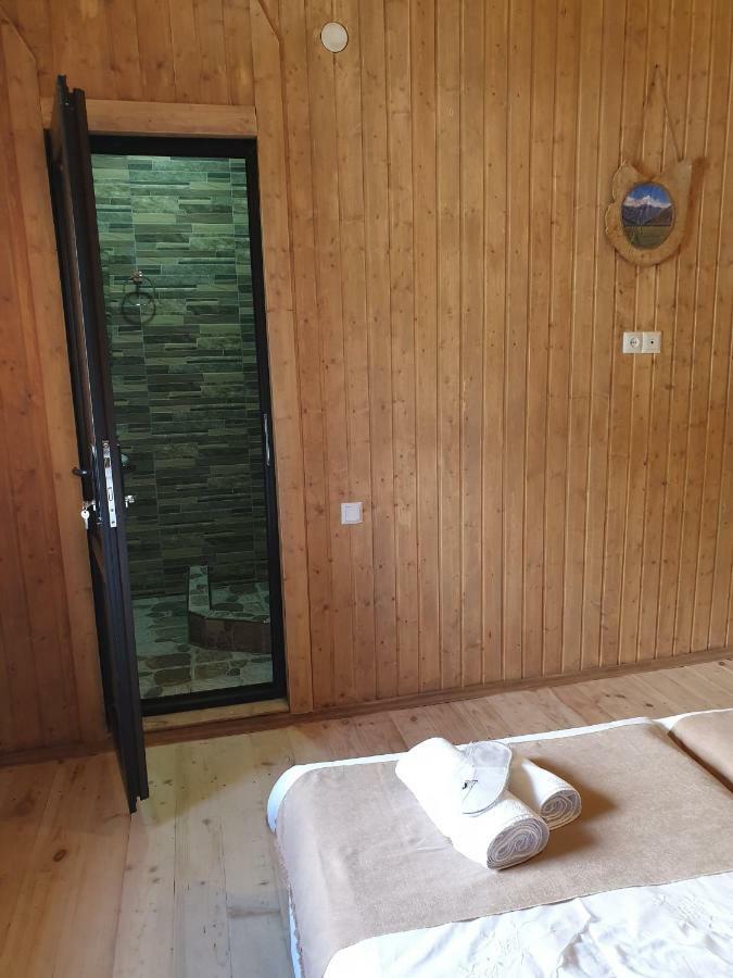 Bana Hotel Kazbegi Luaran gambar