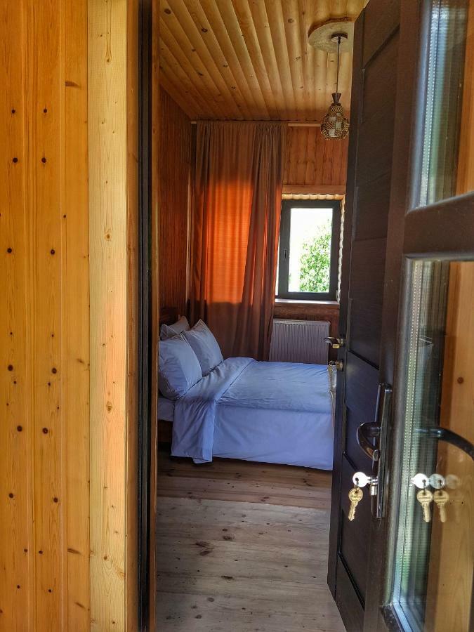 Bana Hotel Kazbegi Luaran gambar