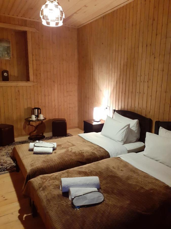 Bana Hotel Kazbegi Luaran gambar