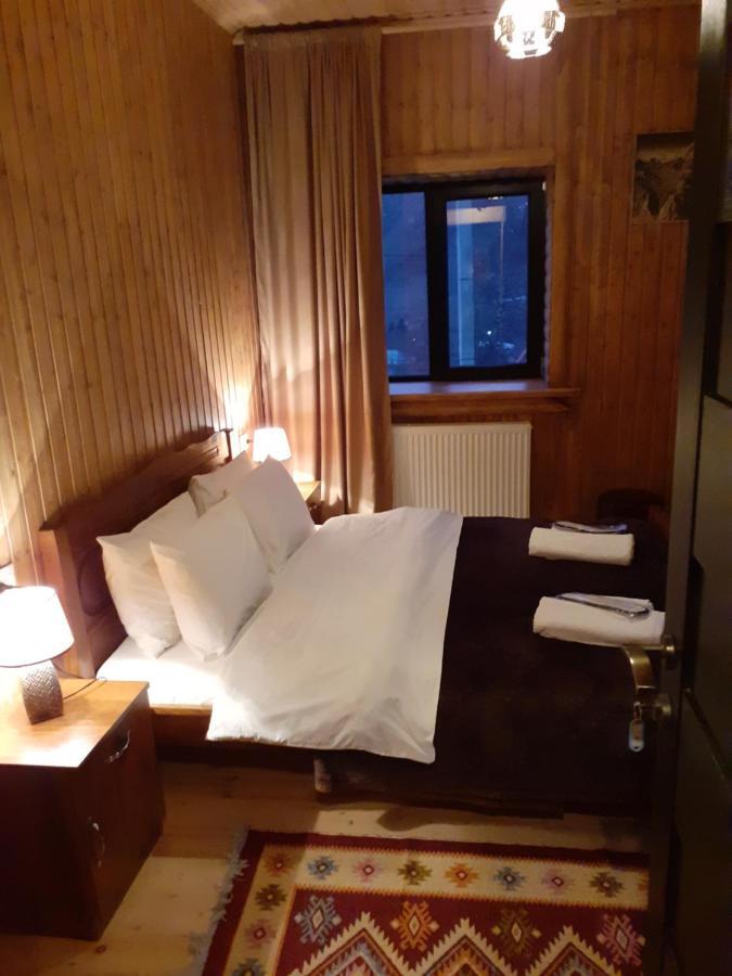 Bana Hotel Kazbegi Luaran gambar